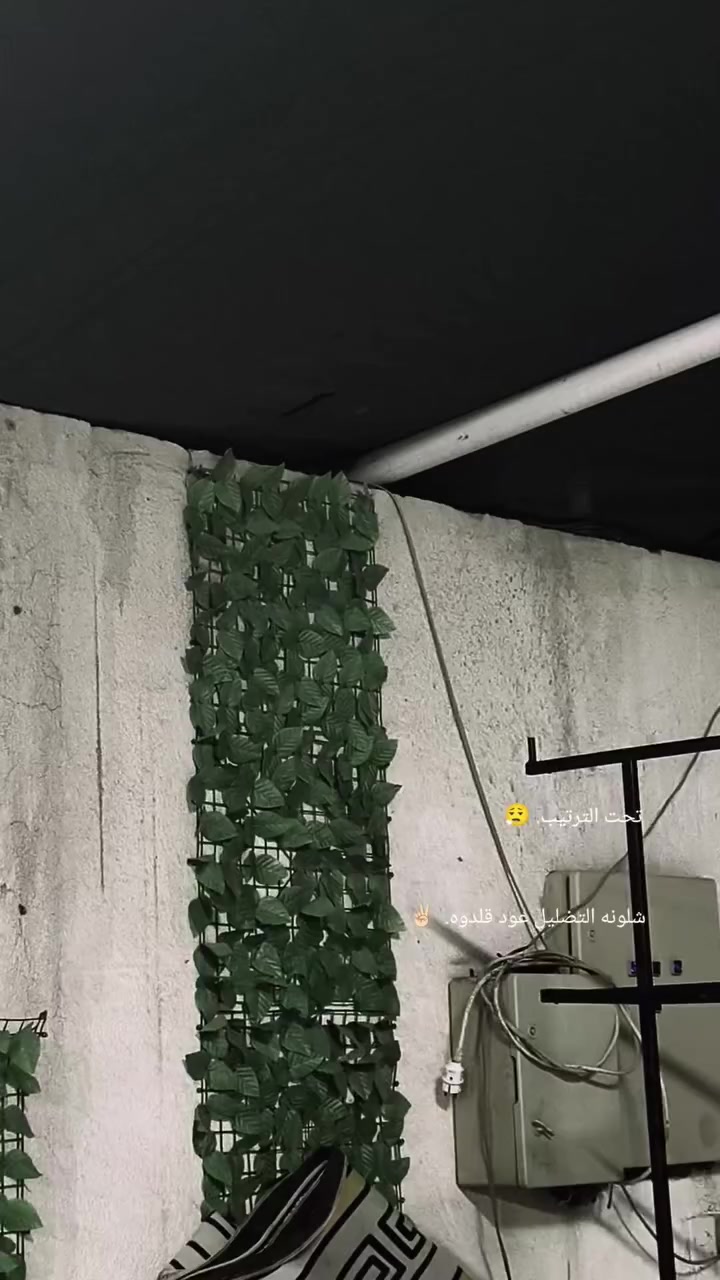 سلام عليكم
دراجه اف اس صيني البيع نفس ما شوف بل فيدو دراجه مجفته مرا وحده تجفيت كامل وكلشي بيه جديد كلج امامي كامل جديد تاير خلفي جديد قايش جديد 
مكاني البصره كرمه علي 
الهاتف7875191346


**إذا كنت صاحب هذا الإعلان وتريد حذفه لأي سبب، رجاءا أرسل رسالة إلى الدعم الفني**