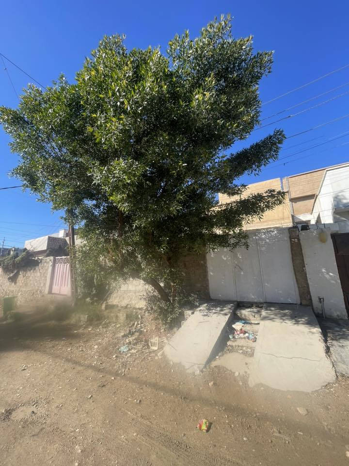 إعلان بيع بيت 🏠
للبيع بيت بمساحة 200 متر
📍 الموقع: حي الجمعية الاولى قريب مدرسة زدني علما
💰 السعر: 110 مليون (قفل)

البيت مناسب للسكن أو كأرض، في موقع مميز وموجودة بي كل الخدمات.

للاستفسار والتواصل يرجى الاتصال على ***********
