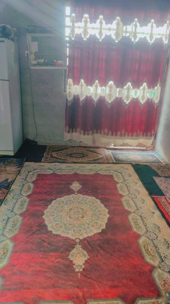 بيت للبيع طابو زراعي المساحه 120متر علوة الفحل قرب اسواق تحسين البناء جديد استوني مكمل البناء غرفتين وصاله ومطبخ مفتوح تركي  غرفه كامله وغرفه عايزه سقف حمام داخلي وتوليت خارجيه عايز فقط بيبان للمكاشيف وللحمام مجاري استوني مشتغله درجه اولى والماي دفن  السعر 24وبي مجال قليل 
للاتصال الرقم بي واساب  ***********
