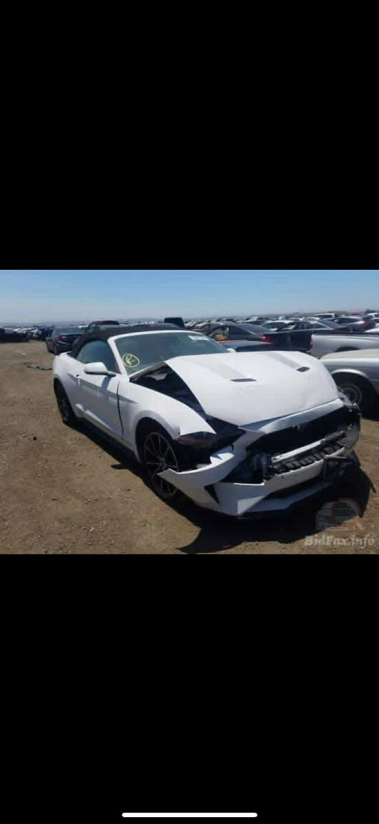 153 وبيهة مجال بيع سريع
موستنك 2020 كشف ايكو تيربو  فئه ال55 + بريميوم وديجيتال يعني فول الفول

كير مكينه تبريد شواصي لغود كشف كشنات غرفه تحويل غرامات كله كفاله
حجم المحرك 2.3 T
4 سلندر
بصمه - بصمة بيبان 
شفتات بالستيرن
ناقل حركة أوتوماتيكي 10 سرعات
• دفع خلفي RWD
‏Apple CarPlay / Android Auto + ب شاشة لمس كبيرة
• مقاعد جلد مدفآة ومبرّدة
• نظام دخول ذكي + تشغيل عن بُعد
• نظام صوت قوي
عدادات متغيره حسب نظام القيادة 
حساسات 
رادارات 
تحديد مسار 
شاشه 
بصمه
 كاميرا
 تشغيل عن بعد
 عدادات متغيره
 دشبول دجتل بس الدشبول ب2000 دولار بلاد
كشنات تدفئه تبريد 
اشاره بالمري
ترحيب علامه الموستنك 
 3 مودات قيادة (نورمل – سبورت – سبورت بلس)
 3 مودات ستيرن (كمفورت – نورمل – سبورت)
 نظام الصوت بريميوم 
لحيه اماميه
سبايدر بلاد خلفي
حلوك صالنصه
رقم بغداد انكليزي مميز بأسمي 
جاملغ وبنيد امريكا وهنا جامرلغ 
مكان السياره بغداد بغداد, العراق


**إذا كنت صاحب هذا الإعلان وتريد حذفه لأي سبب، رجاءا أرسل رسالة إلى الدعم الفني**