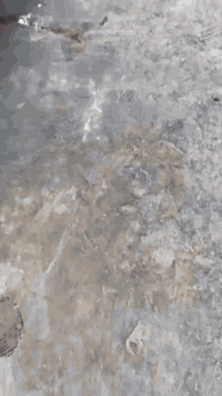 سلام عليكم ماجسته فوال بصمه رصاصي 2007 اصل  جلد شرط مابيه كل  نقص جهاز جوبليس يصعد  وينزل تخم تاير ويل   قرار 48 نجف بسمي  دولي قماره فقط مكان بابل  سعر 155 تصل فقط ***********
