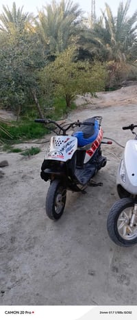 طبلية • ستوته • خاص