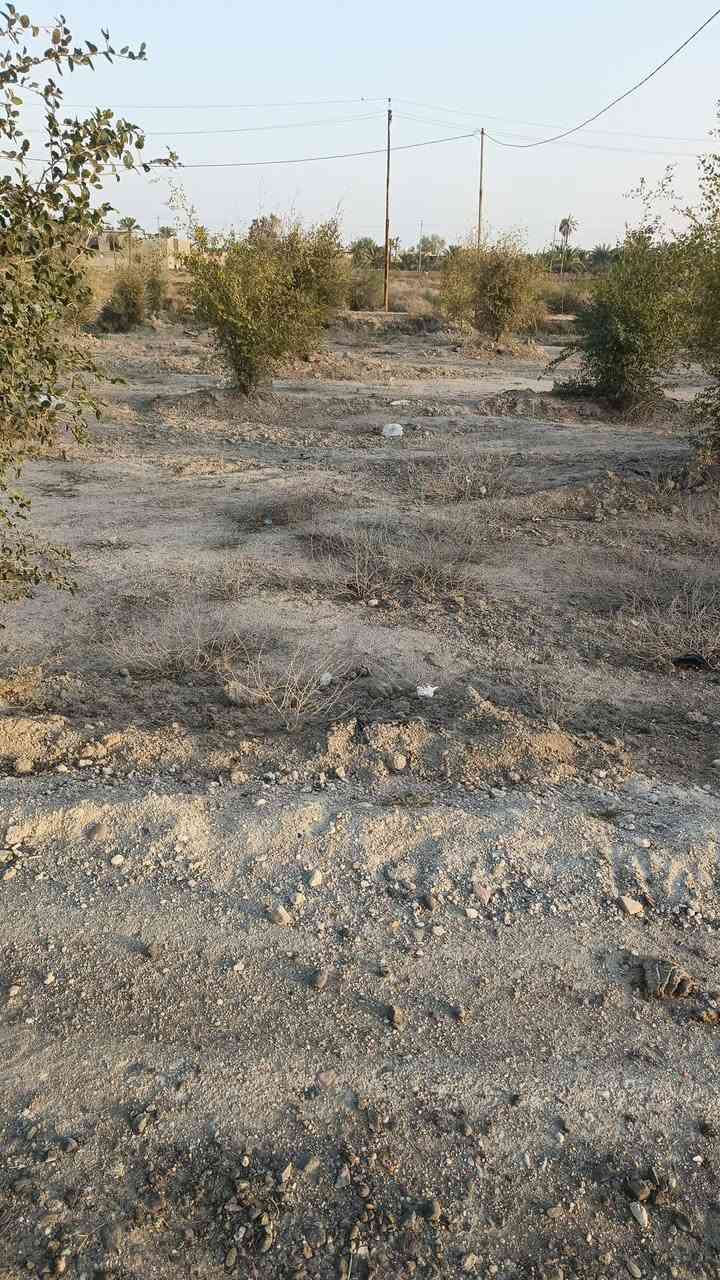 قطعه للبيع باب الهوا الجزيره الرابعه مساحه ١٢٣ ماي كهرباء تبليط سد٢٣
السعر 19.....***********
