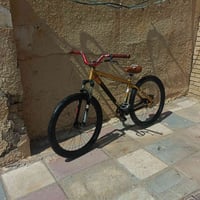 بايك جاينت • ذهبي • مكملة