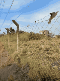 كربلاء طريق بغداد • ٤ دونم • ملك صرف