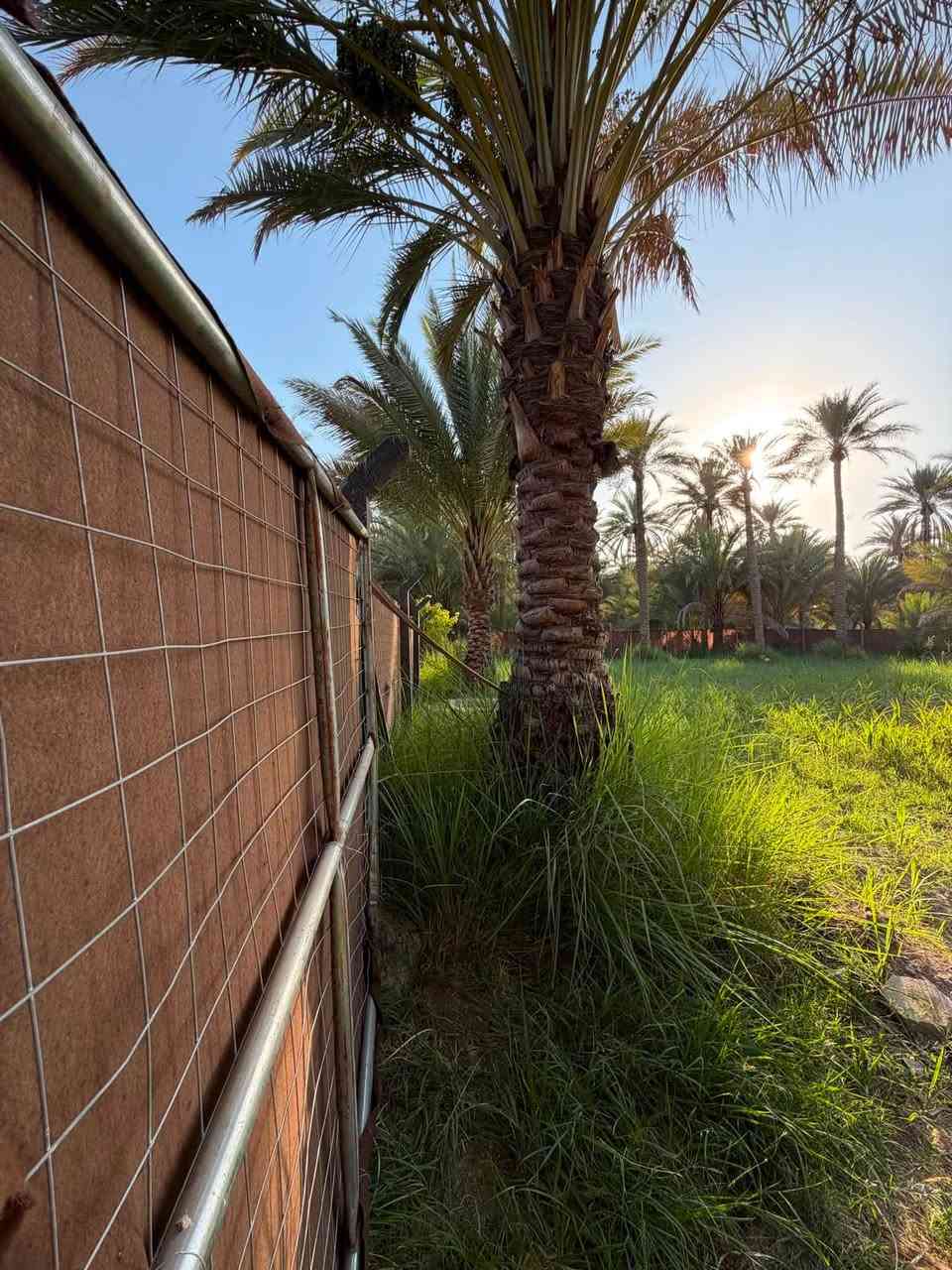 فرصتك لامتلاك الرفاهية 💎
لكل من يبحث عن التميز 

والهدوء، نقدم لكم عقاراً 

بمساحة (1.300 ألف ):!

[كربلاء المقدسه منطقه العسافيات   ].​

​لا تفوت فرصة المعاينة 

 على أرض الواقع!🏝️🍇🍏🍊🍋🍑

 السعر (115) مليون 

للمزيد من المعلومات:

مكتب كربلاء للعقار 

***********

***********
