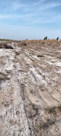 أرض زراعية • ٢٥٠٠م • طريق المشايه