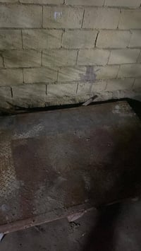 بدي دايوان  كامل ماناقصه شي مابيه خياس بدي متروك صارله فتره. الانتصال ...