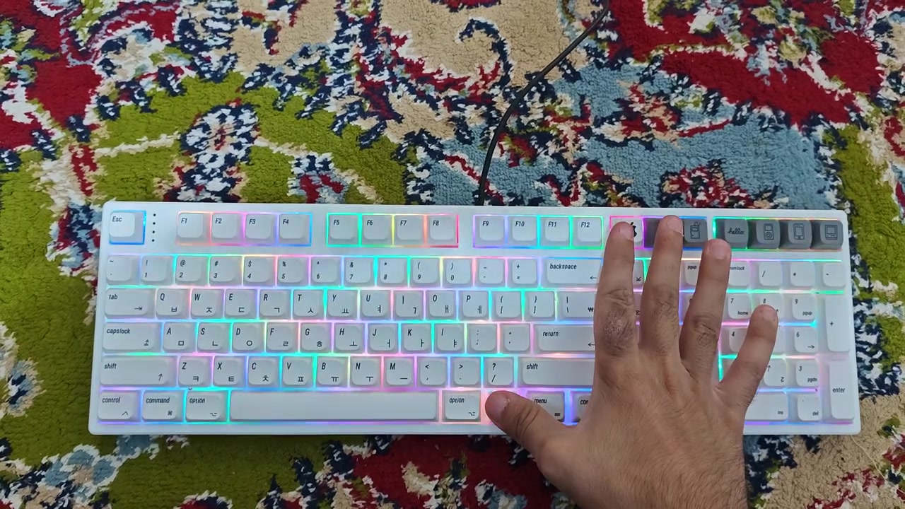 سلام عليكم
متوفر كيبورد 
Hello Ganss HS108T

مواصفات الكيبورد

حجم الكيبورد full size 108

اتصال ثلاثي triple mode 
بلوتوث سلكي USB C دنكل 2.4g

يدعم hot swappable 
3 ل 5 بن

اضائة RGP قابلة للتخصيص 

ملاحظة الكيبورد ما بي بطارية 
وانما يستخدم باتريات عدد 4 AAA

سعر الكيبورد شامل التوصيل 55 الف مع كي كابس هدية


**إذا كنت صاحب هذا الإعلان وتريد حذفه لأي سبب، رجاءا أرسل رسالة إلى الدعم الفني**