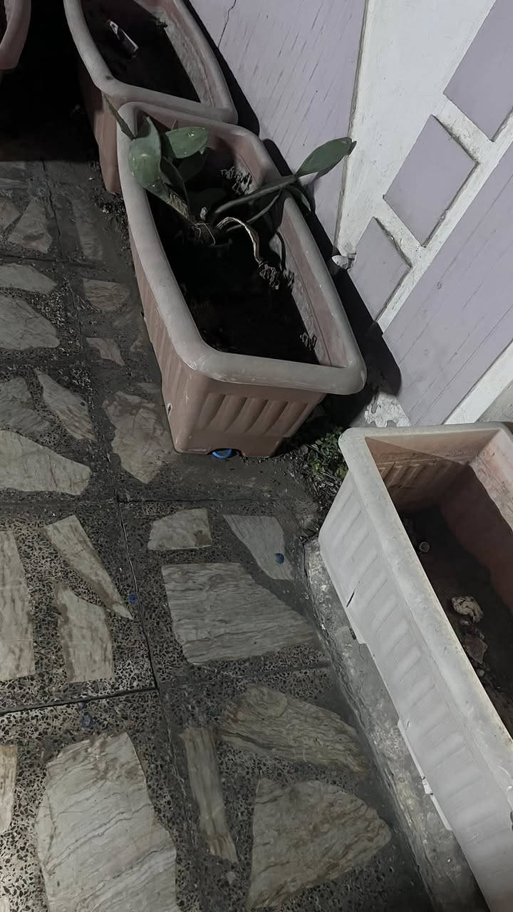 سنادين حجم كبير عدد 8  عندي 10 القطعه قفل


**إذا كنت صاحب هذا الإعلان وتريد حذفه لأي سبب، رجاءا أرسل رسالة إلى الدعم الفني**