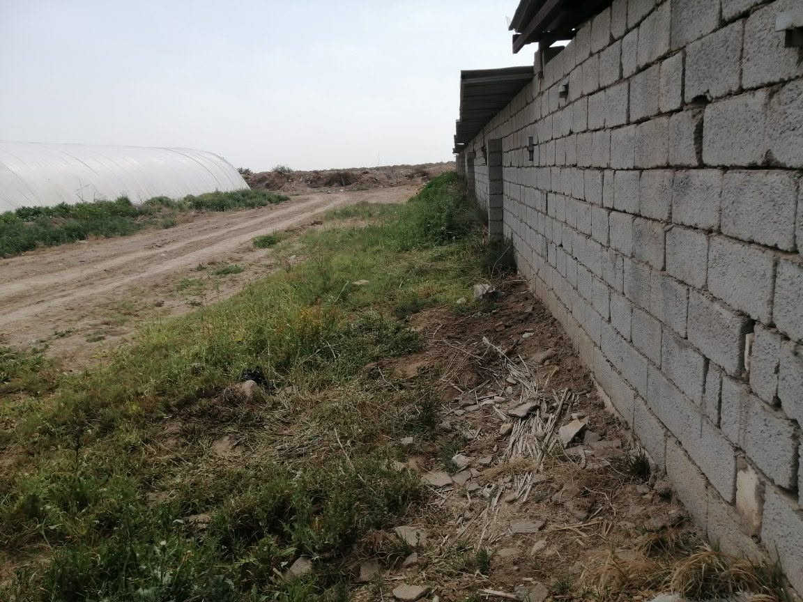 سلام عليكم حقول دواجن عدد٢ بلاستك يشيلن ١٦٠٠٠الف وياهن محصار مال عجول وبيت وياهن مال عائلة مولدات عدد اثنين ومائ وكهرباء ومناهل ومعالف كاملة بس جيب افراخ سعرهن مناسب للاستفسار الاتصال على الرقم *********** مكانهن بالناصريه

