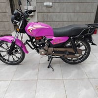 شاينك • فحل • اوراق كاملة