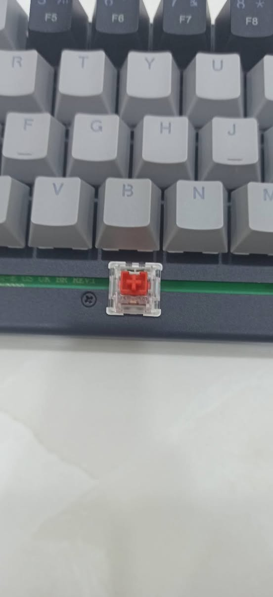 كيبورد E-YOOSOZ-11 Mechanical Keyboard مثل ما موضح بالصور  السعر مع التوصيل 30 متوفر قطعتين 🌹✨
#الجميع


**إذا كنت صاحب هذا الإعلان وتريد حذفه لأي سبب، رجاءا أرسل رسالة إلى الدعم الفني**