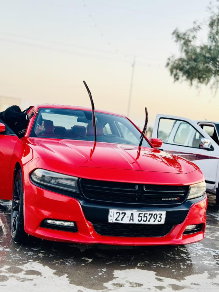 السلام عليكم للبيع سيارة تشارجر 2016 اصل فوول نظافة ✅
مواصفات ال Sxt 
كشنات حضن 
تحكم ستيرن
لون احمر طماطي  
ويل 20
السيارة ماشية120 (استخدام شخصي فقط ما طالعه خطوط )
مكينة وكير كفالة 
مكينة 6 سلندر 3.6 V
كير طيارة 8 نمرر 
رقم ذي قار الإنكليزي _ السنوية 2029 
ضررالسيارة صبغ الباب الأمامي عكس السايق فقط أثرٍ خدوش 👍وهذا السونار راح انزله بالصور

السعر 20،000$ (شدتين) وبيه مجال 
للتواصل الاتصال ع الرقم 👇
***********
