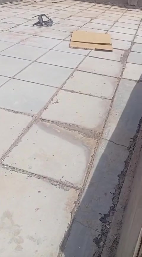 الستفسلر على هذا الرقم ***********
