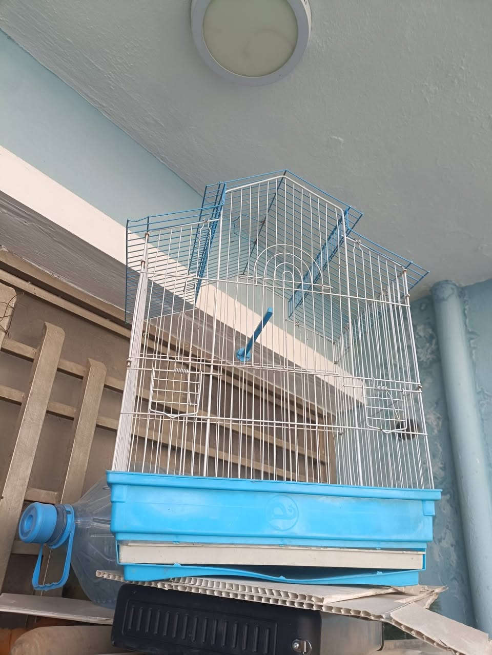 قفصين ب15الف مكاني أبو دشير شارع الزيتون هذه رقمي ***********
