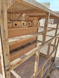 قفص خشب • ارتفاع ٢م • فلوجه شهداء