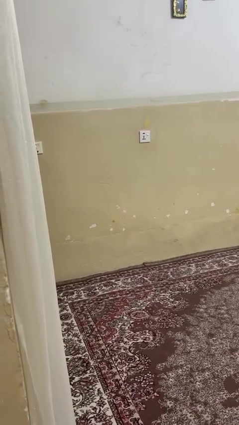 ئەم خانوە بۆ فڕۆشتن گازینۆ گەرەکی ئازادی ژمارەی مۆبایل ***********
