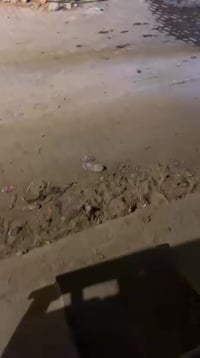 قبله حي جامعه • غرفتين • شامل الماي والكهرباء