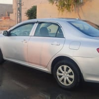 كورلا امريكي • ٢٠١٠ • بدون صبغ