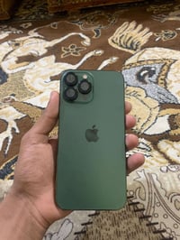 آيفون ١٣ برو ماكس • ١تيرا • زيتوني