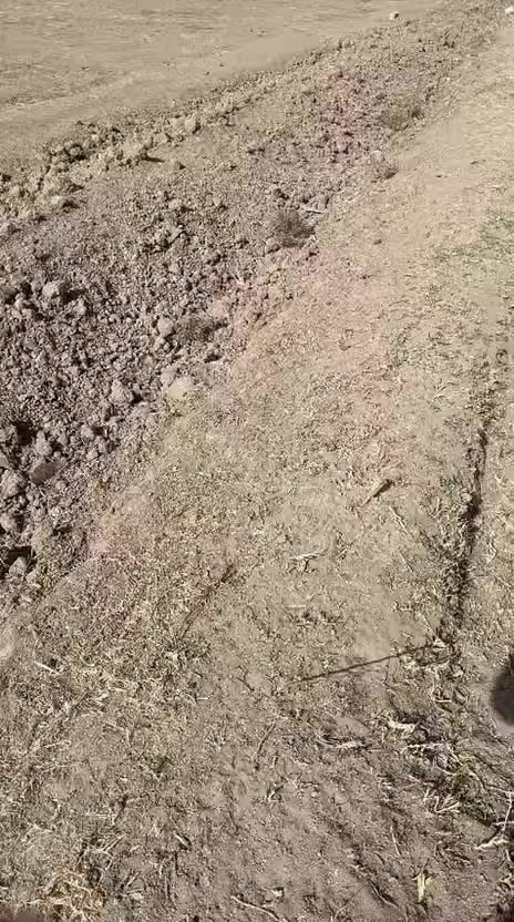 10 دوانم طابو زراعي سند 25 في بغداد منطقة عرب جبور قرب مجمعات حوراء بغداد السكني تبعد عن سريع دوره يوسفيه 10 دقائق وجه الأرض 400م نزال 600م عرض الشارع 7م السعر 110مليون الدونم الواحد قابل للتفاوض خدمات كهرباء ماء متوفره تحويل مباشر على طابو المحموديه للاستفسار مراسلة الصفحة او الاتصال على ***********
