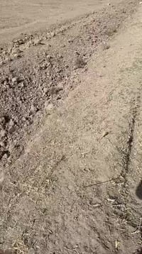 10 دوانم طابو زراعي سند 25 في بغداد منطقة عرب جبور قرب مجمعات حوراء بغ...