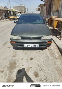 كورله • صبغ عام • نجف مشخاب