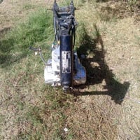 شاصي • ارشه • اوراق