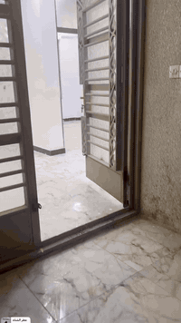 سنة سعيدة عليكم ان شاء الله
شقه للأيجار طابق اول جواها محلات ومحتوياتها واضحه بالفيديو 👇 
الموقع: الدوره مقابل ابو الطياره خلف مستشفى الدوره الاهلي شارع جامع مالك الملك 
الشقه نظيفه جدا وجاهزه والبناية حديثه والمنطقه تبليط سعر الايجار ٣٠٠ الف بدون دلالية اني صاحب البناية ومطلوب عائله صغيره 
للاستفسار اكثر  *********** اتصال او واتساب
