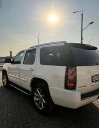 يوكن دنلي • ٢٠٠٧ • كفالة عامة