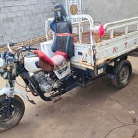 ستوته • موديل 18 • اوراق مكفوله