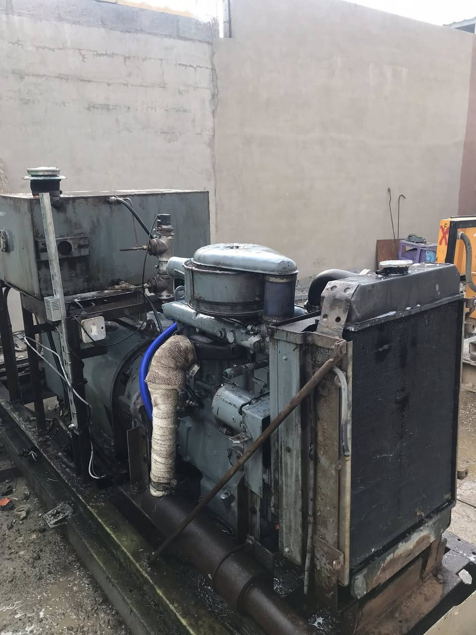 موليدة للبيع
فوركستن بيركنز 
اوروبي 
كركوك 
Kv31
شرط الشغل 
***********
