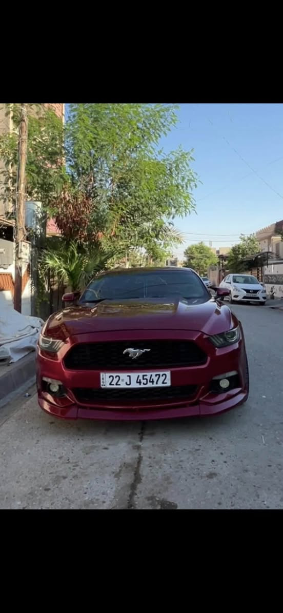 مرحبا اخوان
موستانك موديل 2016 محرك V6 مرغوب للبيع
سعرها 123 بيها مجال 
مواصفات سته سلندر معروفة
منضومة لايتات $300
KN شوته
بصمة تشغيل
تشغيل عن بعد كشن كهربا
بلاجكتور
شاشة وكامرة خلفية
تحكمات ستيرن كامل
بصمتين شركة ويا سيارة كلش كلش نظيف مال جناي ماشيه 85 الف ميل بدون عيب او خلل كير محرك ممفتوح اكسل GT
ويالة فيرادا قياس 20
جناح خلفي سكوب جانبي مراية باتمان كامل كماليات سيارة بيها اربع قطع  بدون دواخل ايرباك بس بردة سيارة بدون شخوط بدون رصعات رقم سنوية وهزة كله جديد بسمنه سيارة احلى من صور ترايها مال كلين شرط مكاني كركوك

‭0772 850 0451‬

‭0775 215 5411‬
