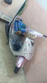 ماكس • اطويريج • يدلل