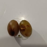 محابس • قديمة • أحجار