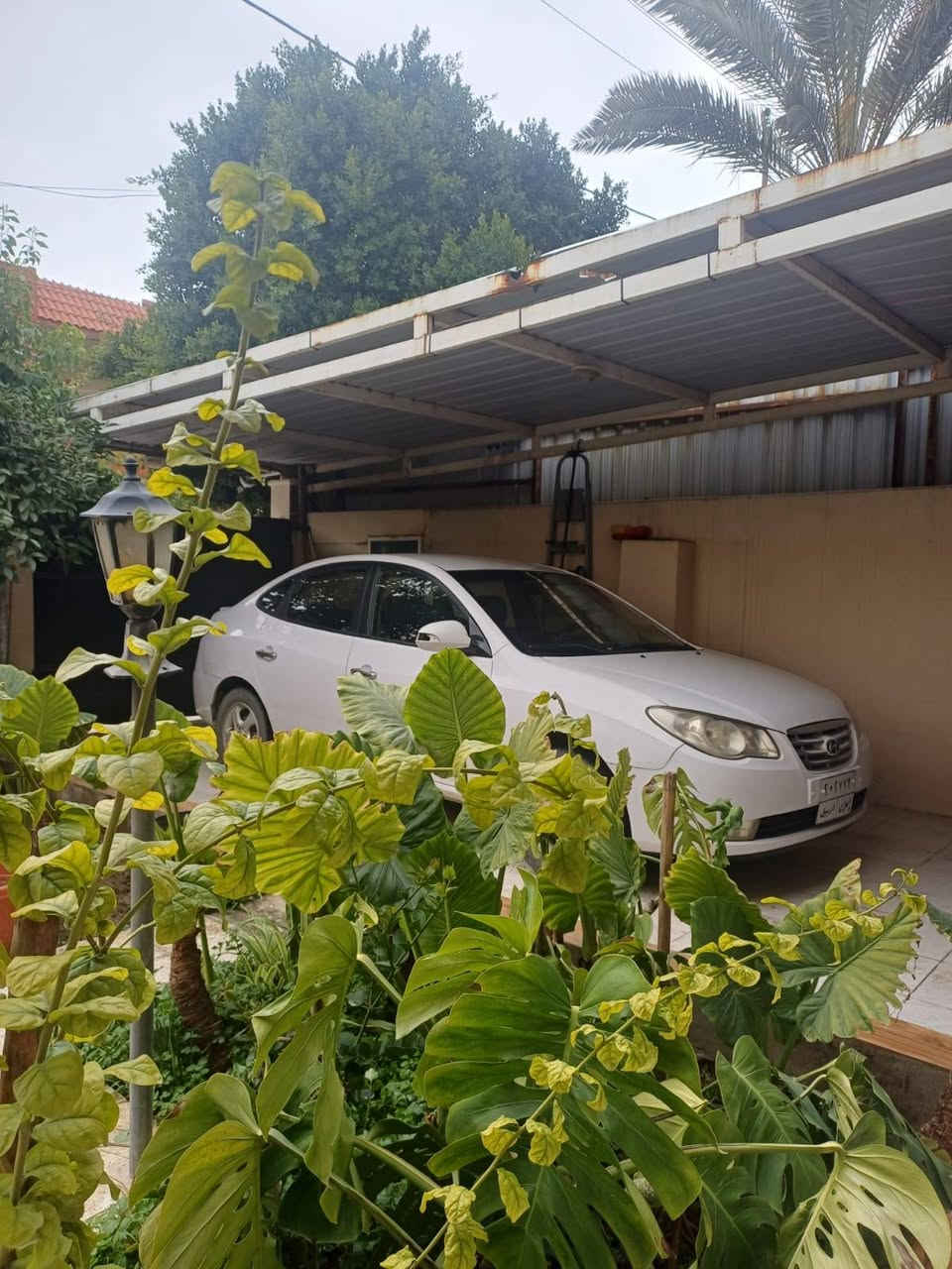 هيونداي النترا 2011
بيها جاملغ صبغ
باب تعديل بارد
السيارة باسمي
رقم أربيل (تحويل ثاني يوم)
السيارة جاهزة
للاستفسار: ***********
🔴 السعر 💵 علق يوصلك السعر 📮
#سيارات #العراق #Iraq_cars #بيع_وشراء_السيارات #Iraq_cars_kd
