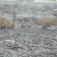 شارع ابو مجيد • ٥٠٠م • ركن على شارعين