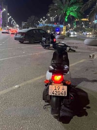فله • بيضه • وصول المعرض