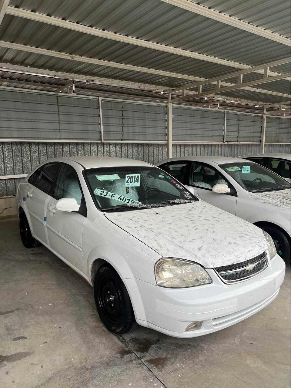 ئۆپترا 2014 ..***********
پارجەو نیو بۆیاغە بی لیدان کەپس نیو دەرکەو جاملغ
مکینە گیر تەقە رەقە بەشەرت نوێ نوێیە 
رقم سنوی هەزە کامل نوێە تحویل بەشەرت
تەخم تایە نوێیە ترایی بەشەرت 
سعر 83 وەرقە و مجال ..*********** أربيل, العراق
