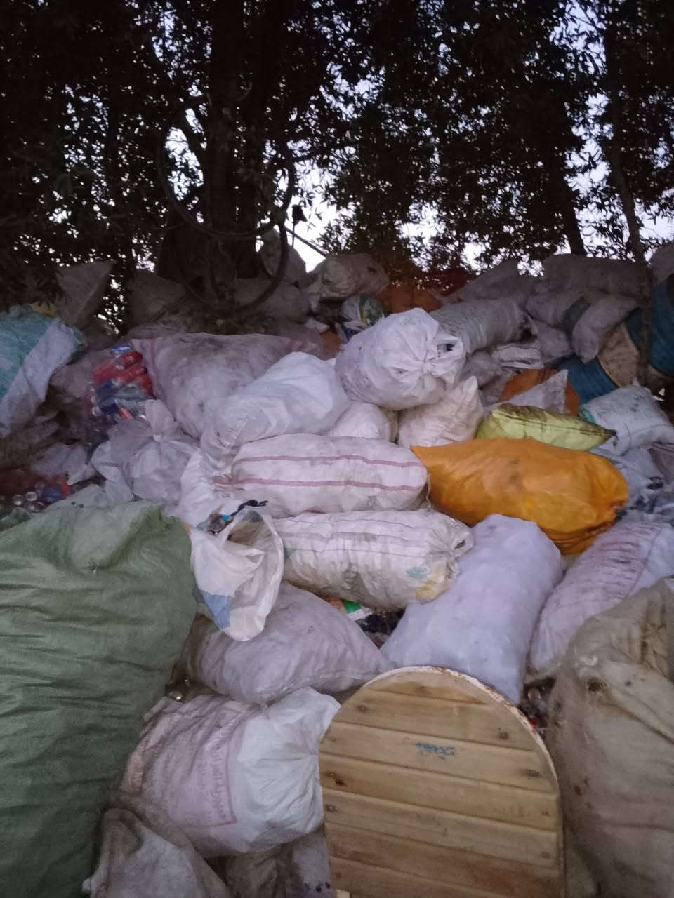 للبيع مطروح *********** ادمن وافق
