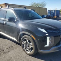 باليسايد SEL • ٢٠٢٤ • ضرر خلفي