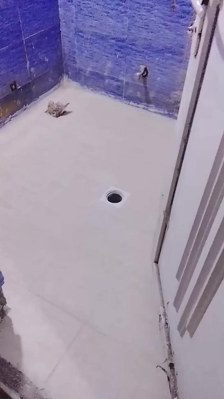 ابو مريم المصري خلف سيراميك مقيم في بغداد بورسلين وجدران وكاشي ومرمر كل شيء يعمل ***********
