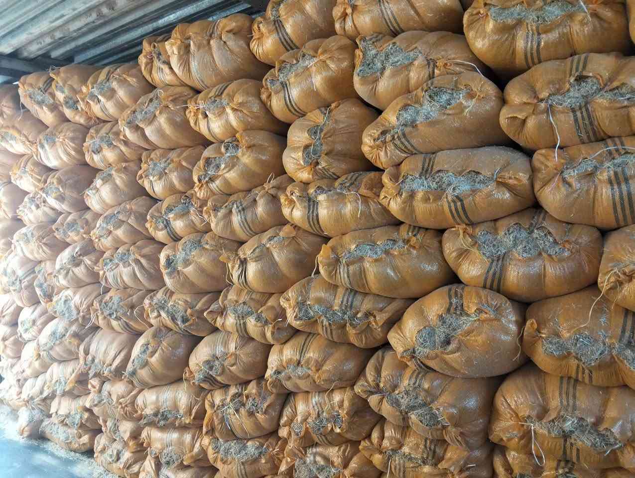 کامان هەیە بۆ فرۆشتن 
حەفتایی سەر قەباخ و
هەشتایی دەم دوور 
کایی دەڕاسەیە
شوین دەوورو بەریی کەرکووک
ژ.م:***********
*********** كركوك, العراق
