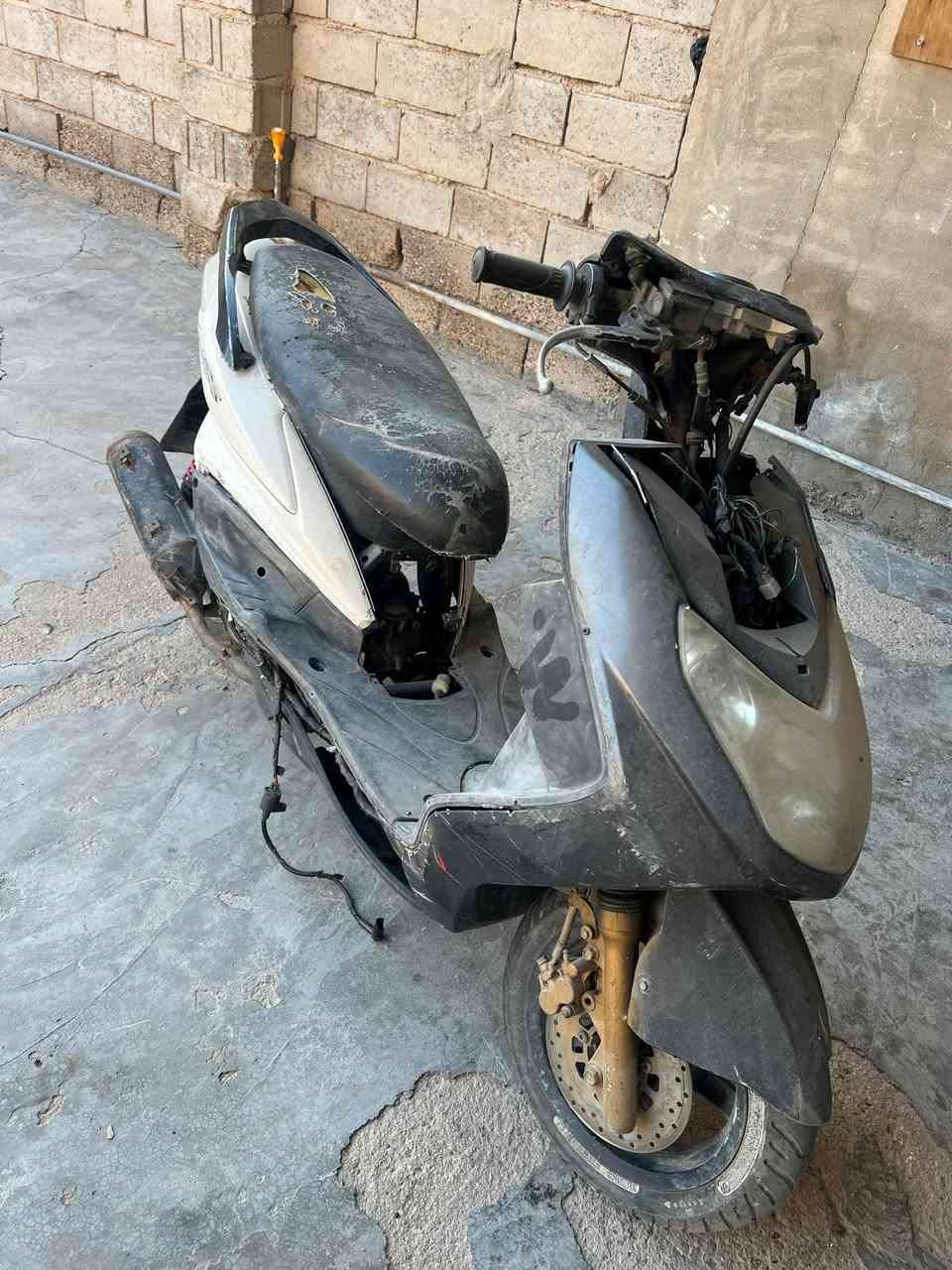 سكنس فحل كابريتر لبيع
***********
