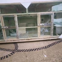 قفص مال طيور حب لبيع 25وبي مجال رقم 07772987566