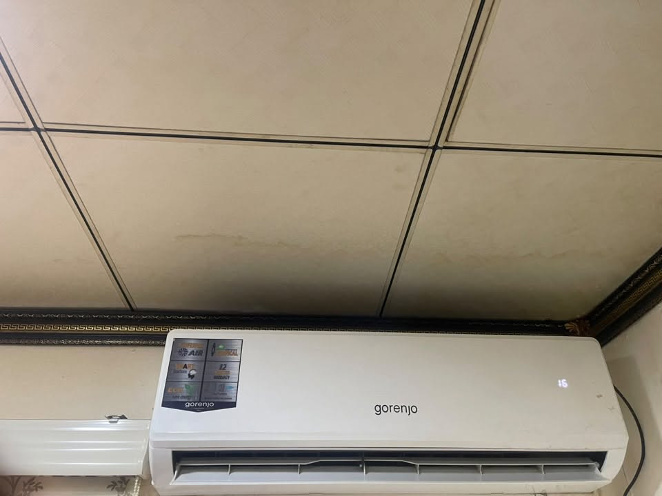 3 طن جبسون مداخل تصليح+طن ونص جورنجي الجهازين مكفولات من اي تصليح سعرهن مليون وربع. سعر 1250
*********** مكانهن الكرخ الثانيه اليوسفيه القصر الاوسط
