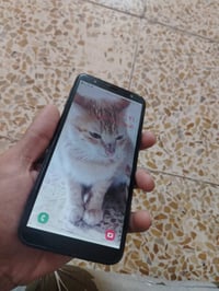 J4 بلص • أصلي • موصل