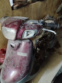 منغوالي • بطة • ٢٥٠