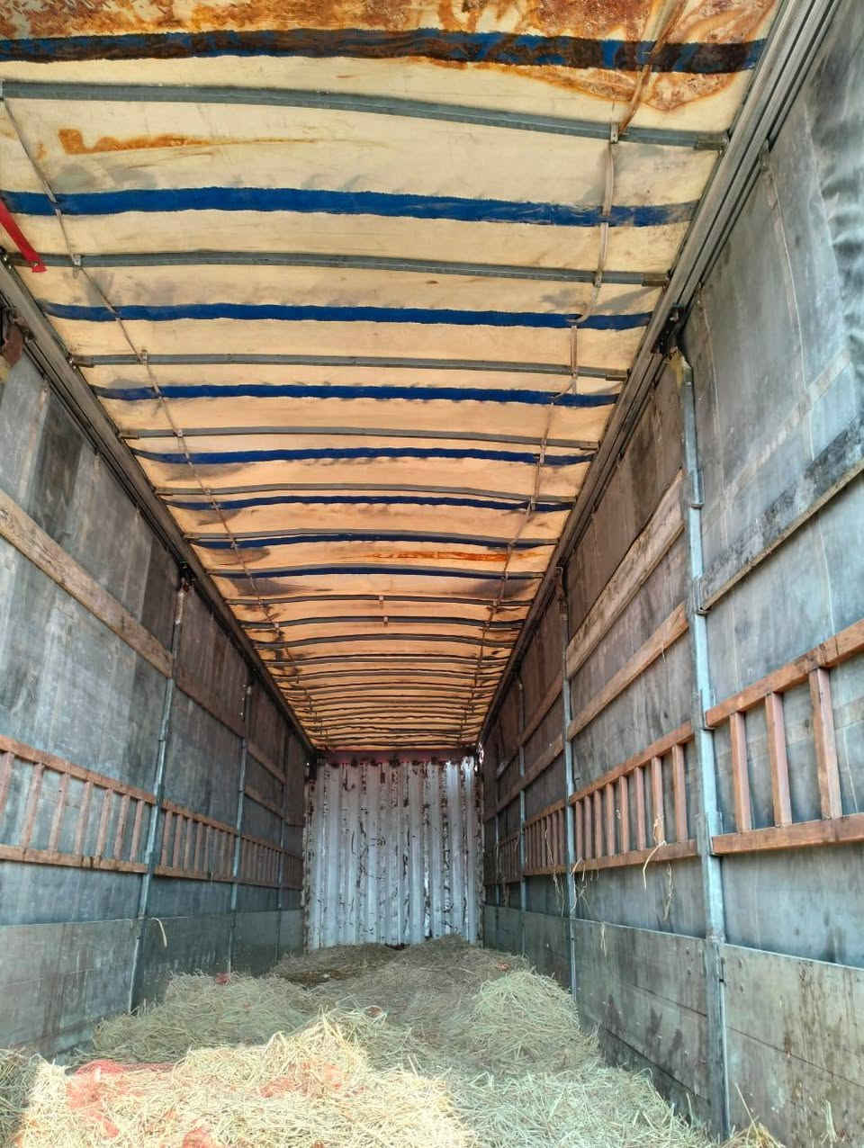 شاصي كرون تخم تاير مكان ناصرية ***********
